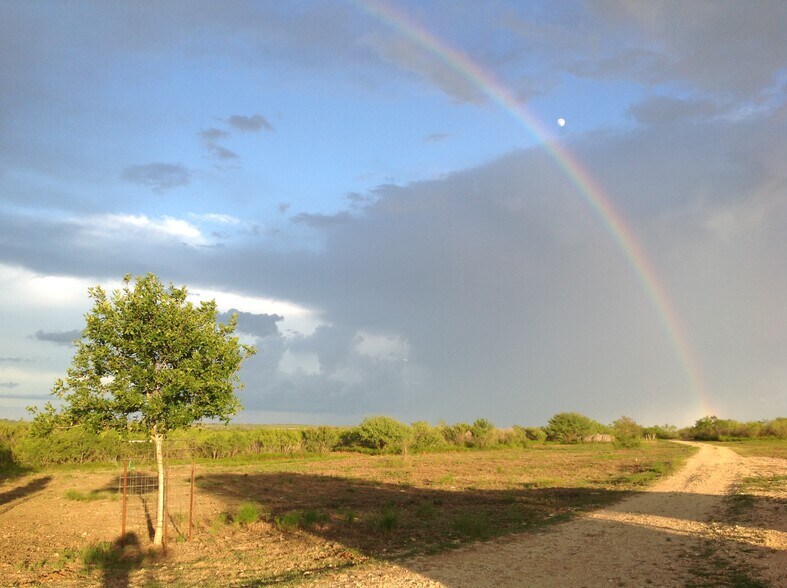 More Photos Of 1190 Dickerson Rd, Lockhart Land For Sale