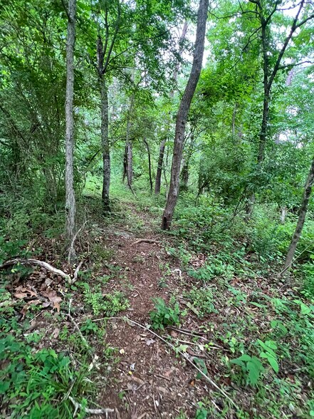 More Photos Of 6322 Hopewell Rd, The Plains Land For Sale
