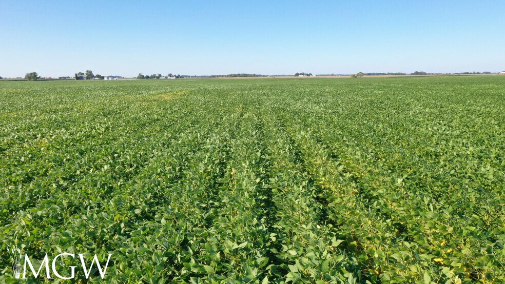 More Photos Of Snyder Road, Virgil Land For Lease