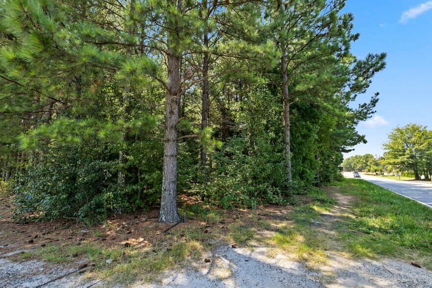 More Photos Of 1244 E Butler Rd, Greenville Land For Sale