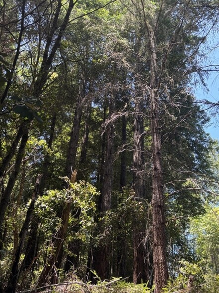 More Photos Of 21380 Siri rd, Guerneville Land For Sale