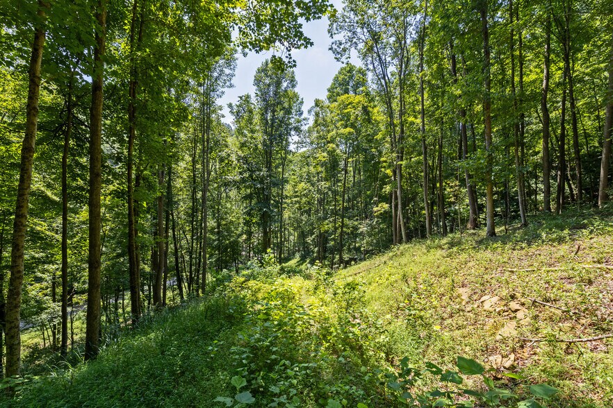 More Photos Of 24272 CONRAD Rd, Laurelville Land For Sale