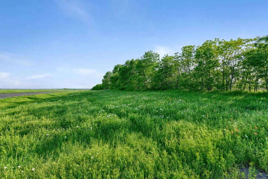 More Photos Of 000 Hwy. 289/Wright Rd., Sherman Land For Sale