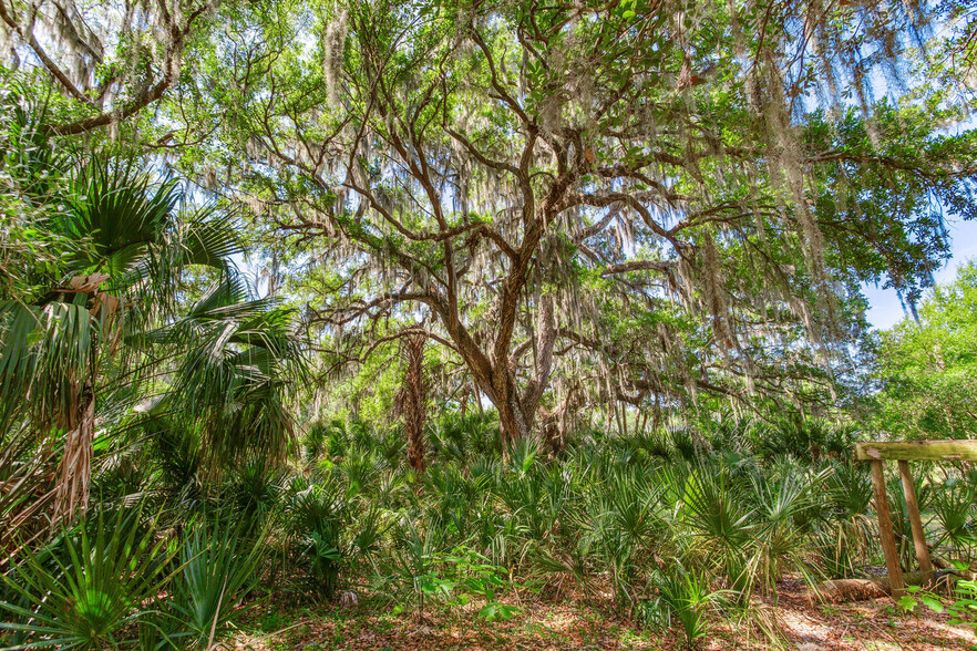 Primary Photo Of 0 Jameson Road, Lithia Land For Sale