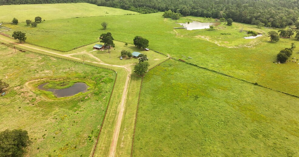 More Photos Of 44 Bucking Bull Rd, New Waverly Land For Sale