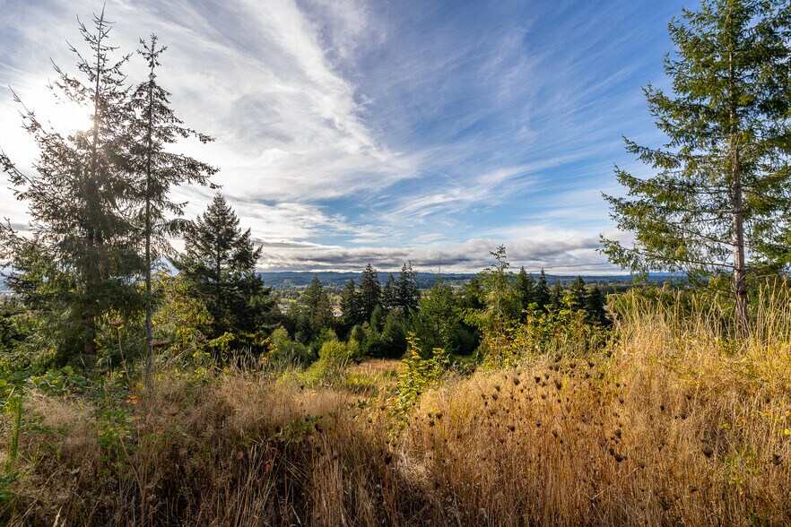 More Photos Of 0 Salzer Creek (was Fair St), Centralia Land For Sale