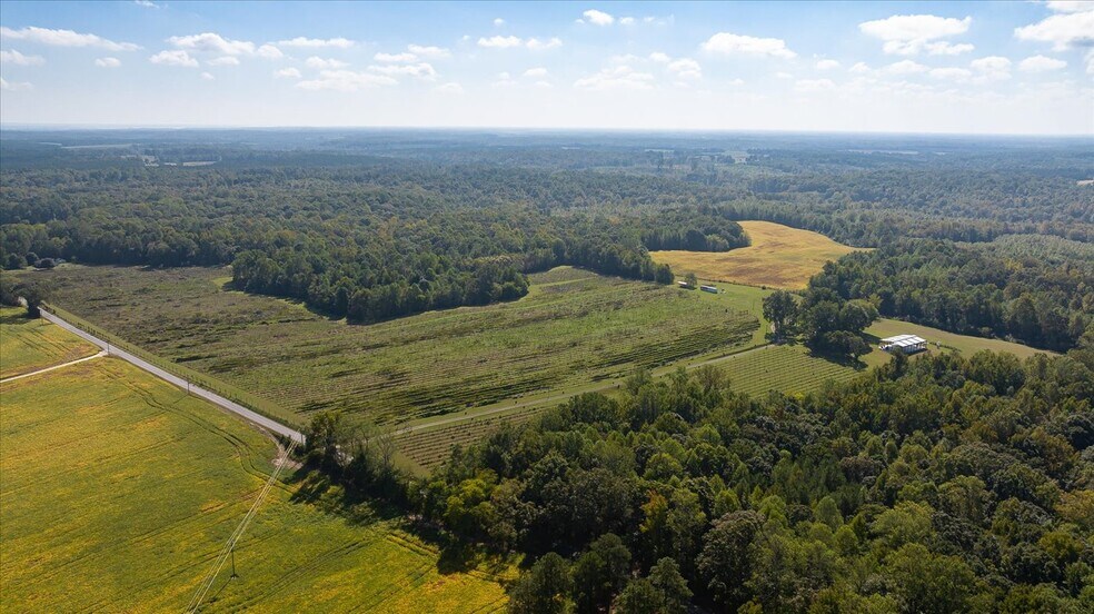 More Photos Of 667 Hustle Rd, Hustle Winery Vineyard For Sale