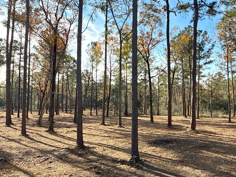 More Photos Of 0 Norfleet Shores Road, Belhaven Land For Sale