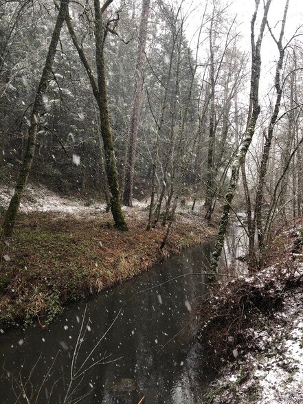 More Photos Of 15960 Bottle Rock Rd, Cobb Hotel For Sale