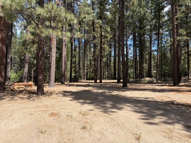 More Photos Of 42280 Moonridge Rd, Big Bear Lake Land For Sale