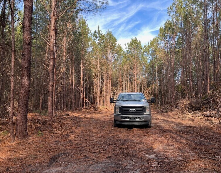 More Photos Of 319 - 547 Sisters Ferry Road, Ridgeland Land For Sale