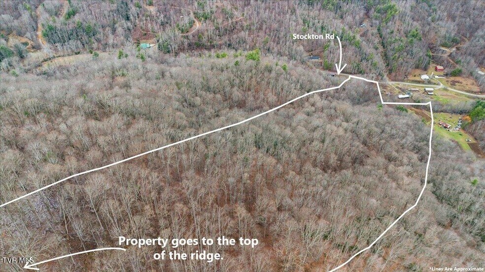 More Photos Of TBD Stockton Rd rd, Flag Pond Land For Sale