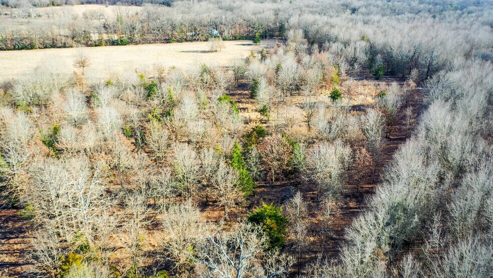 More Photos Of 1200 County 1255 rd, Detroit Land For Sale