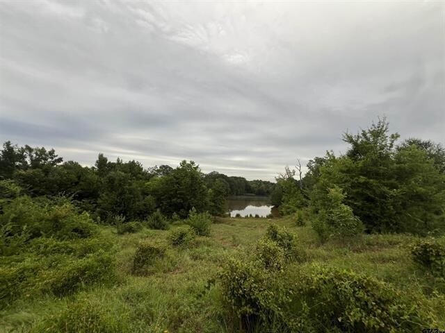 More Photos Of 12251 FM 16 E, Winona Land For Sale