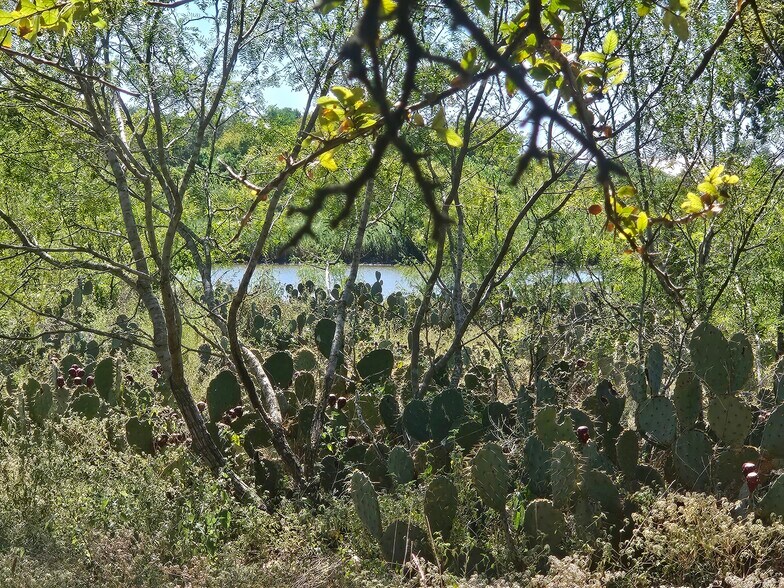 More Photos Of 145 Spring Rd, San Marcos Land For Sale