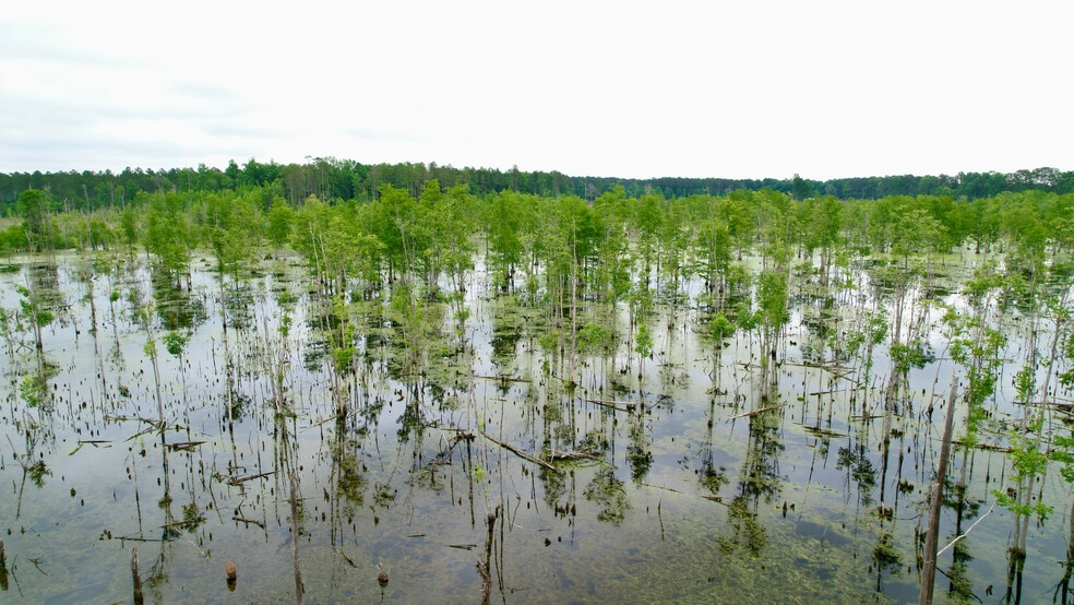 More Photos Of , Reevesville Land For Sale