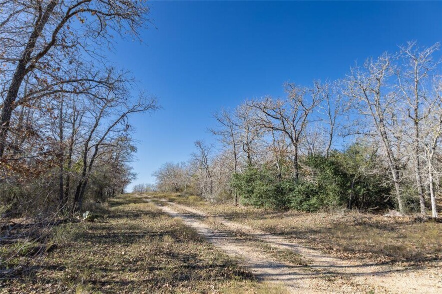 More Photos Of 399 Seals Creek Rd, Lockhart Land For Sale