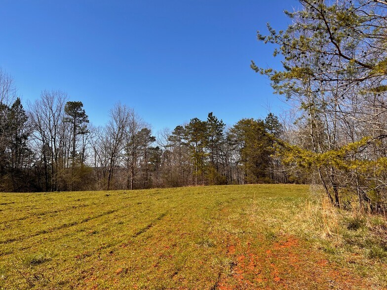 More Photos Of 6390 Lula Road, Lula Land For Sale