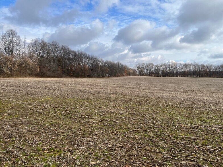 More Photos Of 0 V/L Green St., Springport Land For Sale