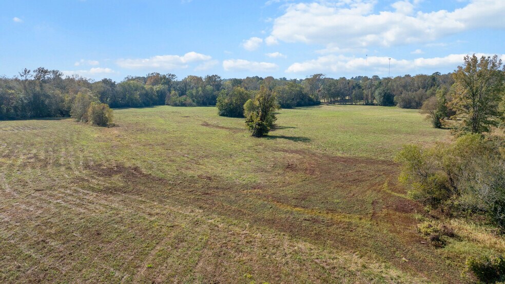 More Photos Of TBD Farm to Market Road 16, Winona Land For Sale