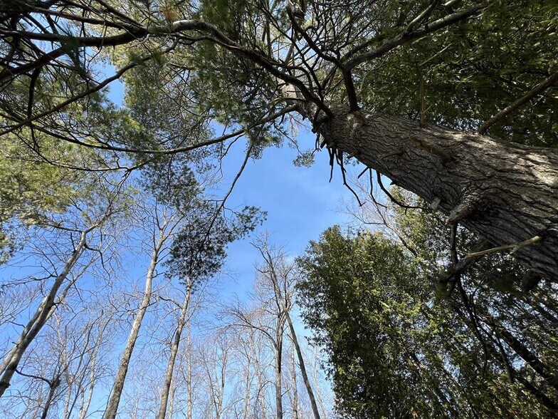 More Photos Of TBD O'Brien Rd, Baileys Harbor Land For Sale