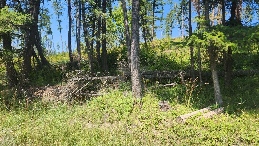 More Photos Of 861 Yeoman Hall Road, Kalispell Land For Sale