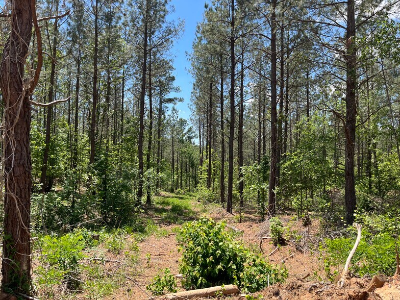 More Photos Of 00 00 Youngstown Rd, Goochland Land For Sale