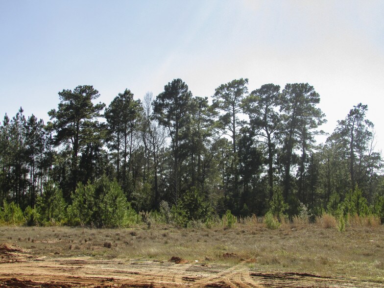 More Photos Of 1.99 Ac I-45 Service Rd, Huntsville Land For Sale