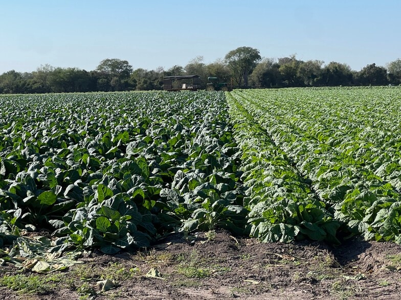 More Photos Of 271.62 Acs on West side of Pharr Intl. Bridge, Pharr Land For Sale