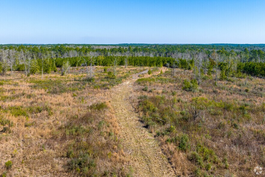 More Photos Of 0 U.S. HWY 59, Loxley Land For Sale
