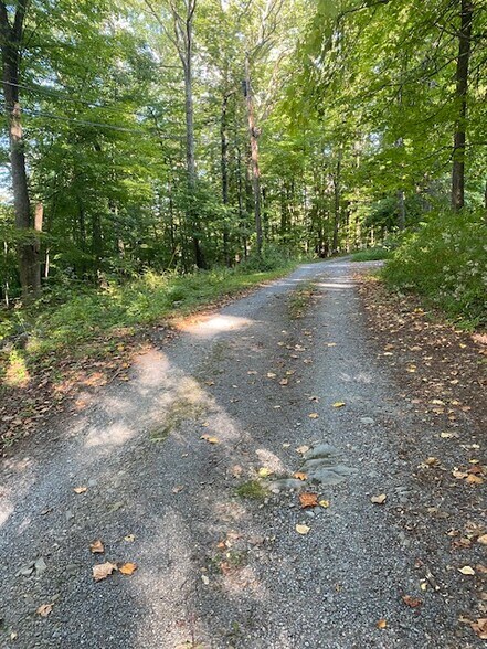 More Photos Of 152 Lily Lake Rd, Highland Land For Sale