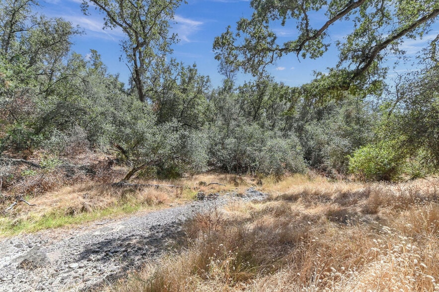 More Photos Of 5761 Highway 4, Angels Camp Land For Sale