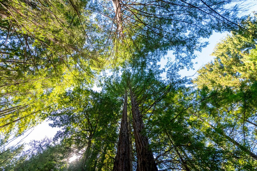 More Photos Of 2372 McKenzie Creek rd, Scotts Valley Land For Sale