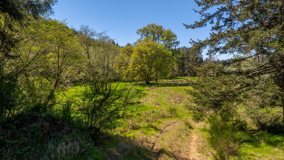 More Photos Of 94010 N Way Ln, North Bend Land For Sale