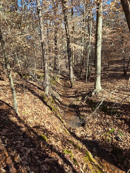 More Photos Of Hwy 109 N @ Cobb Street, Wadesboro Land For Sale