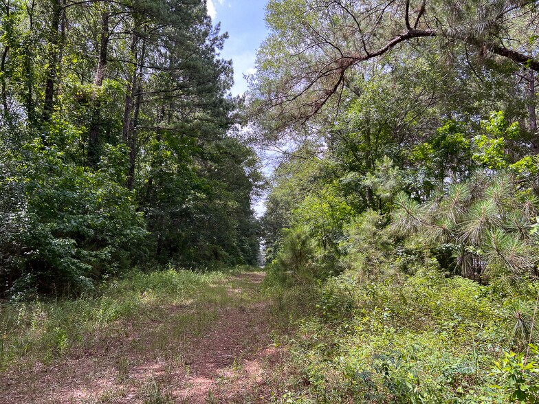 More Photos Of Tommy Smith Road, Conroe Land For Sale
