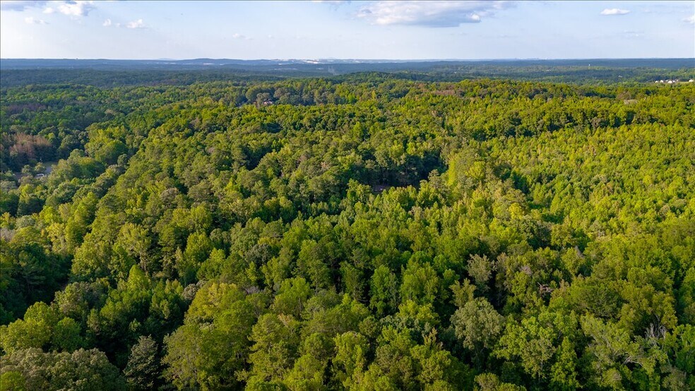 More Photos Of 4550 Derrick Rd, College Park Land For Sale