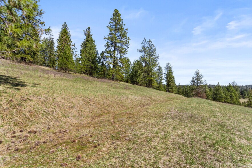 More Photos Of 15809 N Scribner Branch Rd, Spokane Land For Sale
