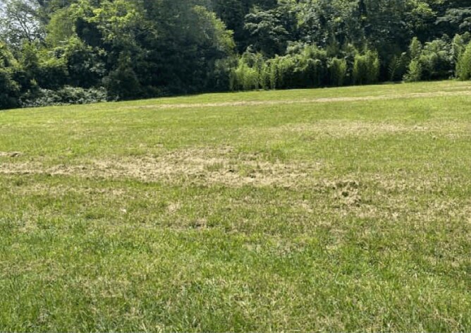 More Photos Of 170 S Jeff Davis Dr, Fayetteville Land For Sale