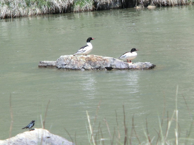 More Photos Of 791A CR, Tierra Amarilla Land For Sale