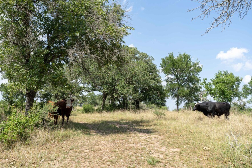 More Photos Of Gravel Pit @ Kingsbury Rd, Seguin Land For Sale