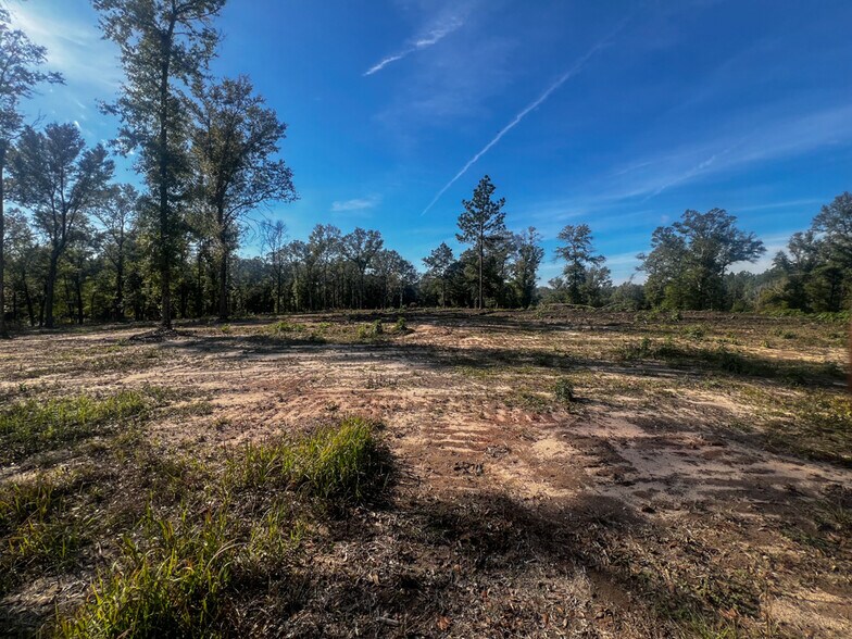 More Photos Of 0 Highway 198, Lucedale Land For Sale