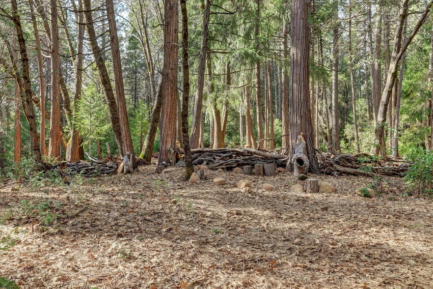 More Photos Of 14724 N Bloomfield Rd, Nevada City Flex For Sale