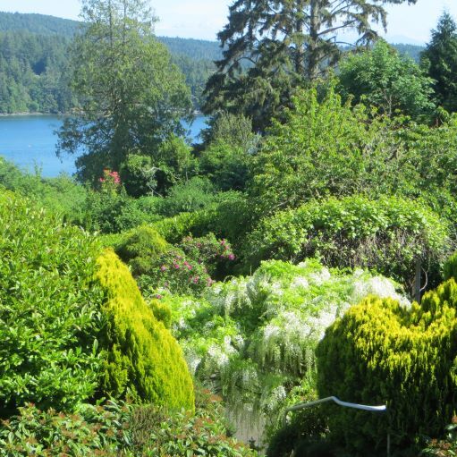 More Photos Of 6605 Sooke Rd, Sooke Land For Sale