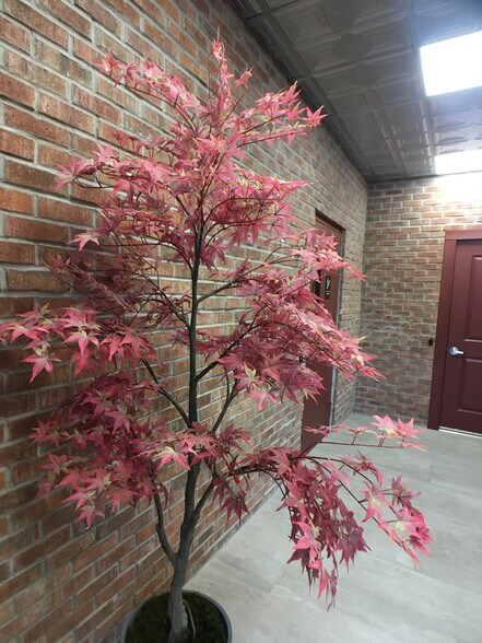 More Photos Of 293 Lafayette Ave, Hawthorne Storefront Retail Office For Sale