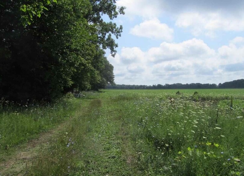 More Photos Of Capac Rd, Armada Land For Sale