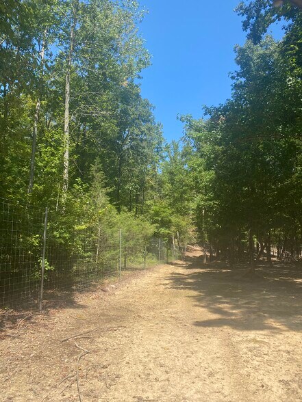 More Photos Of 27550 AL-25 Hwy, Wilsonville Land For Sale