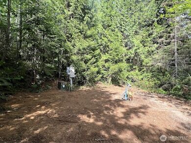 More Photos Of N US Hwy 101, Lilliwaup Land For Sale