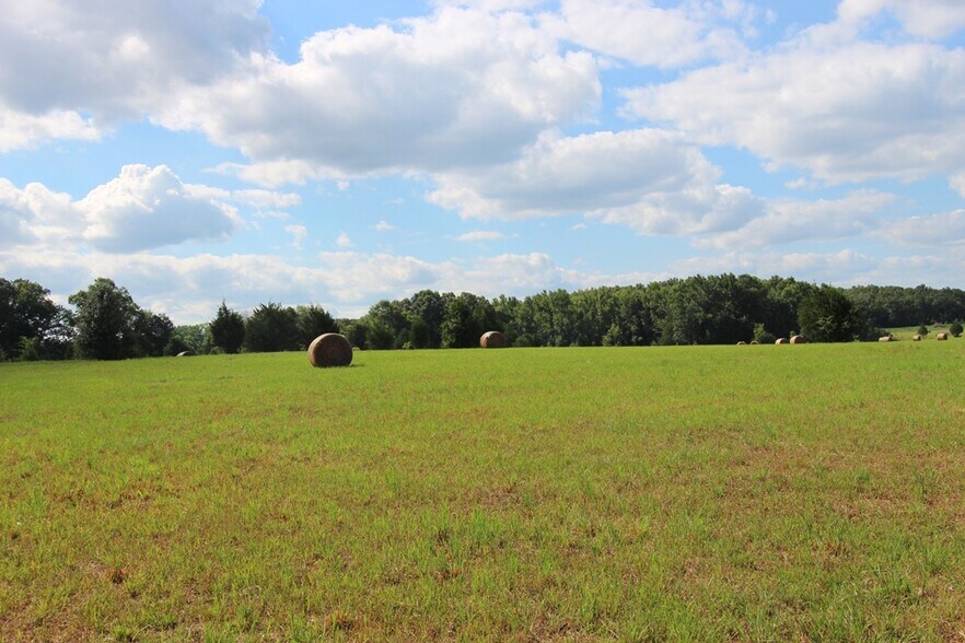 More Photos Of 278 Highway 64 E, Conway Land For Sale