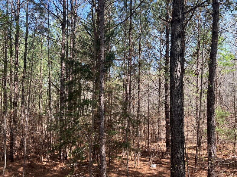 More Photos Of 16 Unbridled Rd SE, Rome Land For Sale
